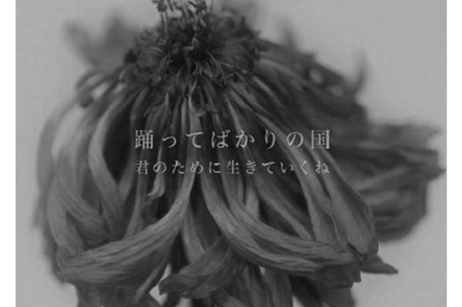 君のために生きていくね | 踊ってばかりの国