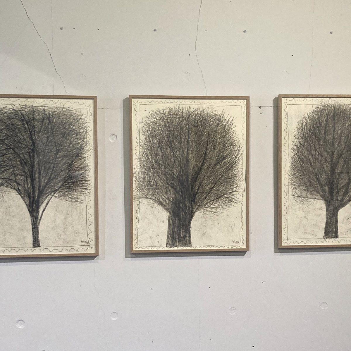 生平桜子｜Sakurako Oidaira (@sakurakooidaira) / Posts / X