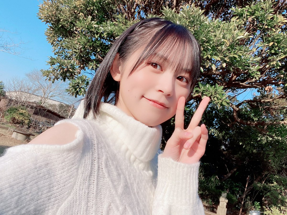 ゆきいろ バインダーのデザインが公開されています！！ SPカードも付い