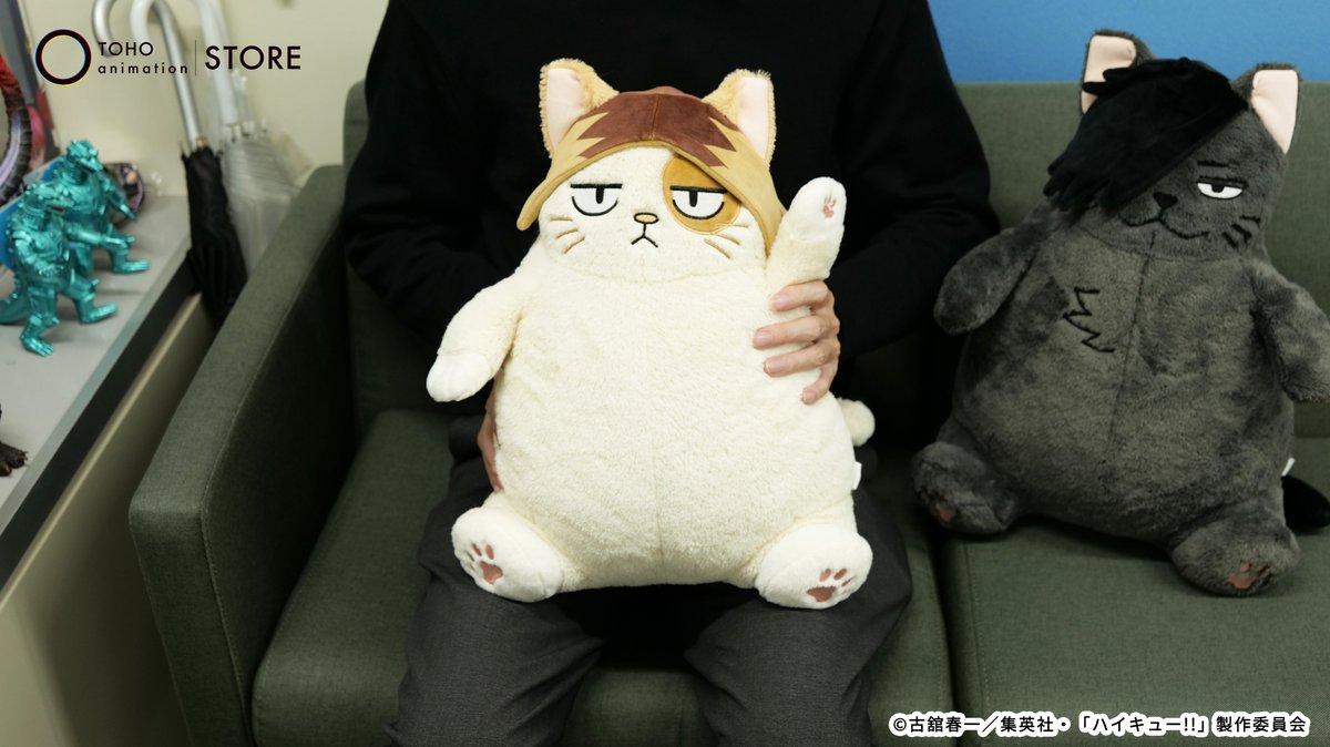 2026年2月22日発売予定 サンプル画像公開！ ハイキュー!! 