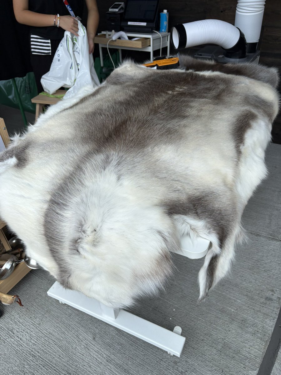 北欧館のお土産、トナカイの毛皮。 綺麗で手触りもいい。お値段29800円