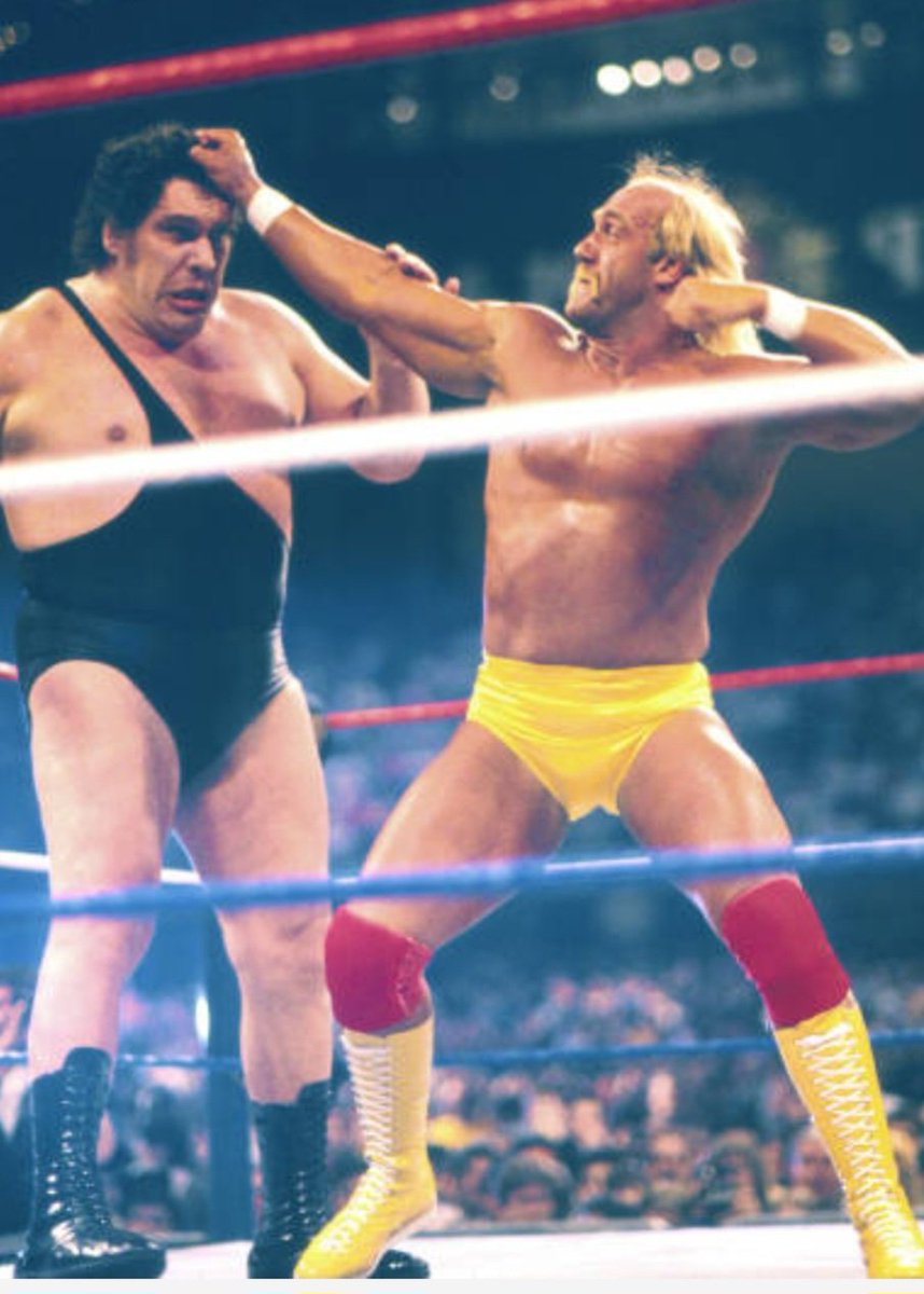 ハルク・ホーガン #アンドレ・ザ・ジャイアント #WWF #RIPHULKHOGAN