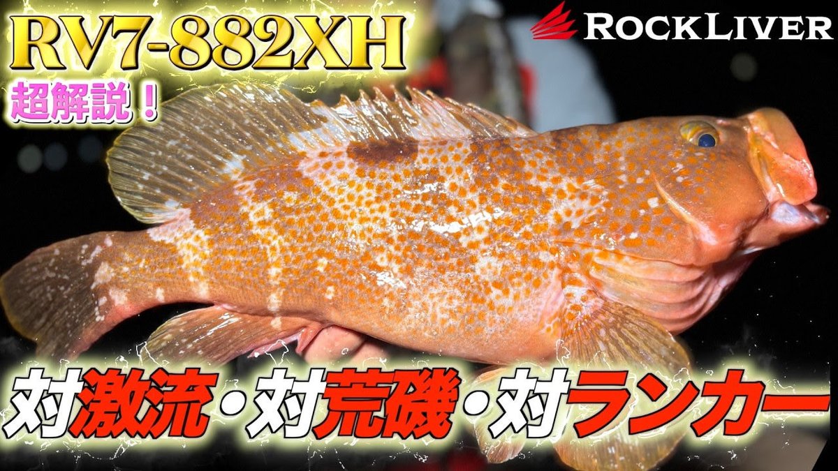 エンジョイソルト (@SefhCsoYYDDg1pR) / Posts / X