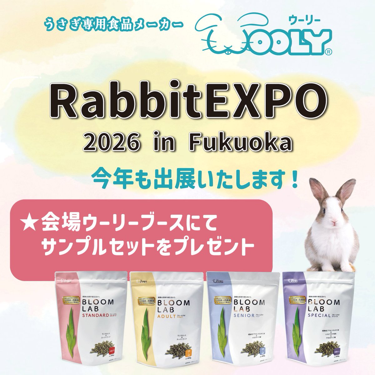 WOOLY（ウーリー） ㅣ うさぎの食彩工房 (@woolyrabbit) / Posts / X