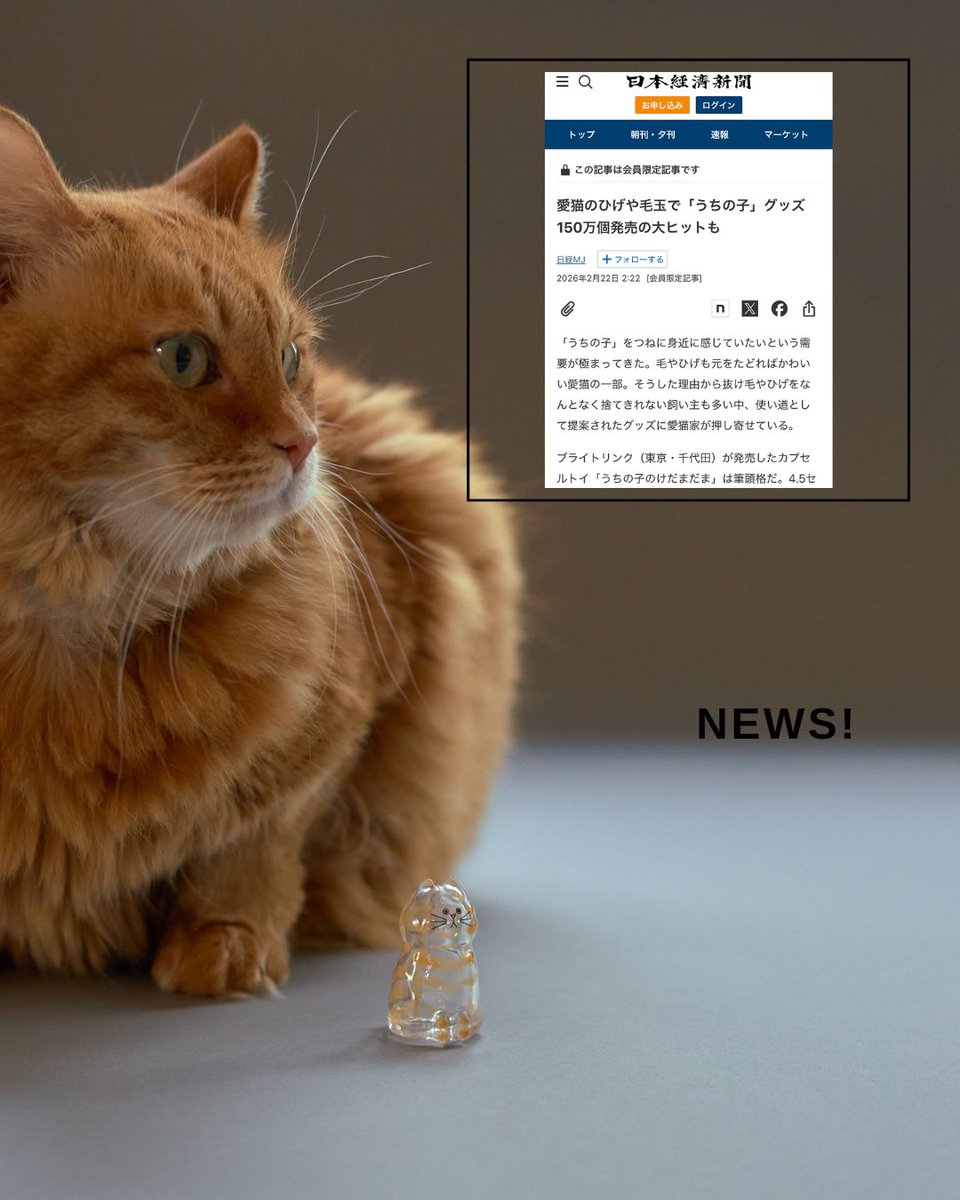 うちの子のけだまだま (@kedamastudio) / Posts / X