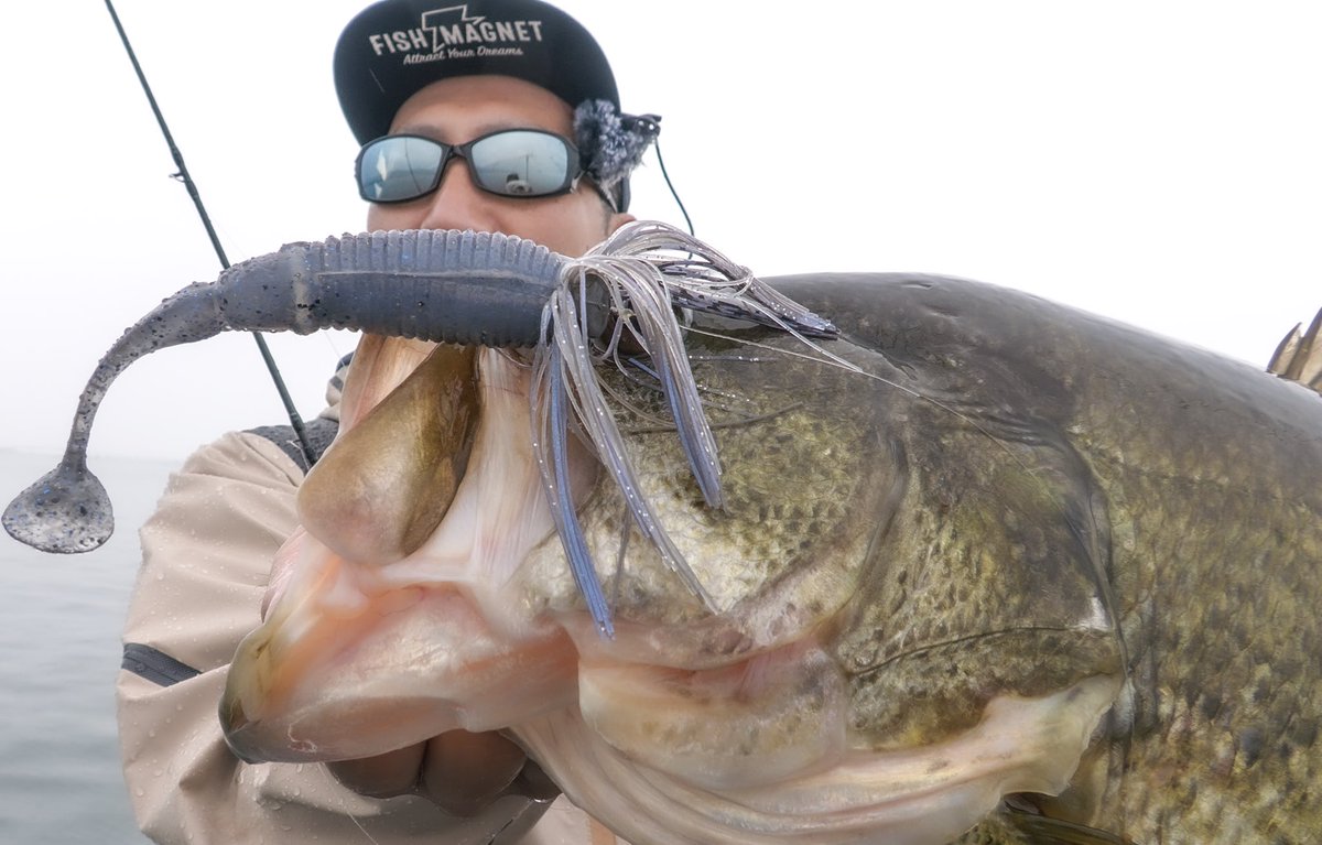 なおき (@NAOKIBASSANGLER) / Posts / X