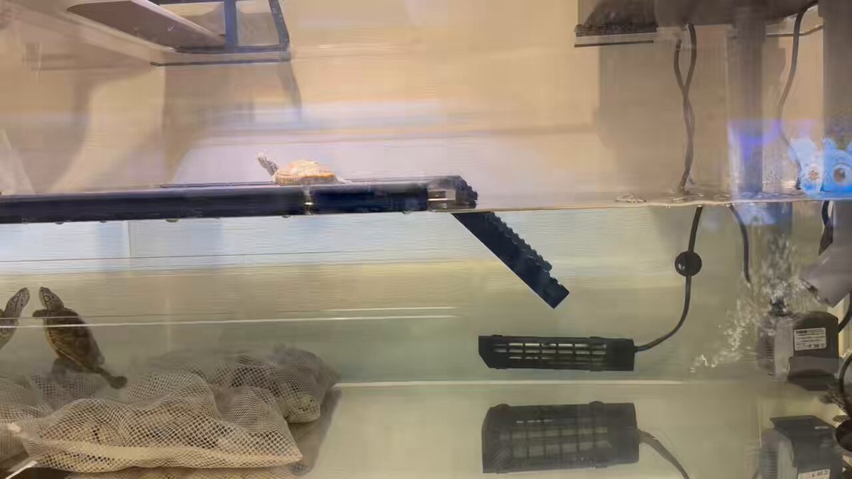 センターテイルのハイドロポンプ (@centertail_hyd) / Posts / X