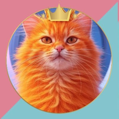 もにこ🐈🐾 (@happy69cat) / Posts / X