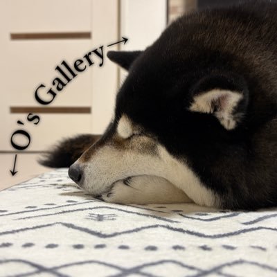 O's Gallery channel-official (@Os_Gallery008) / Posts / X