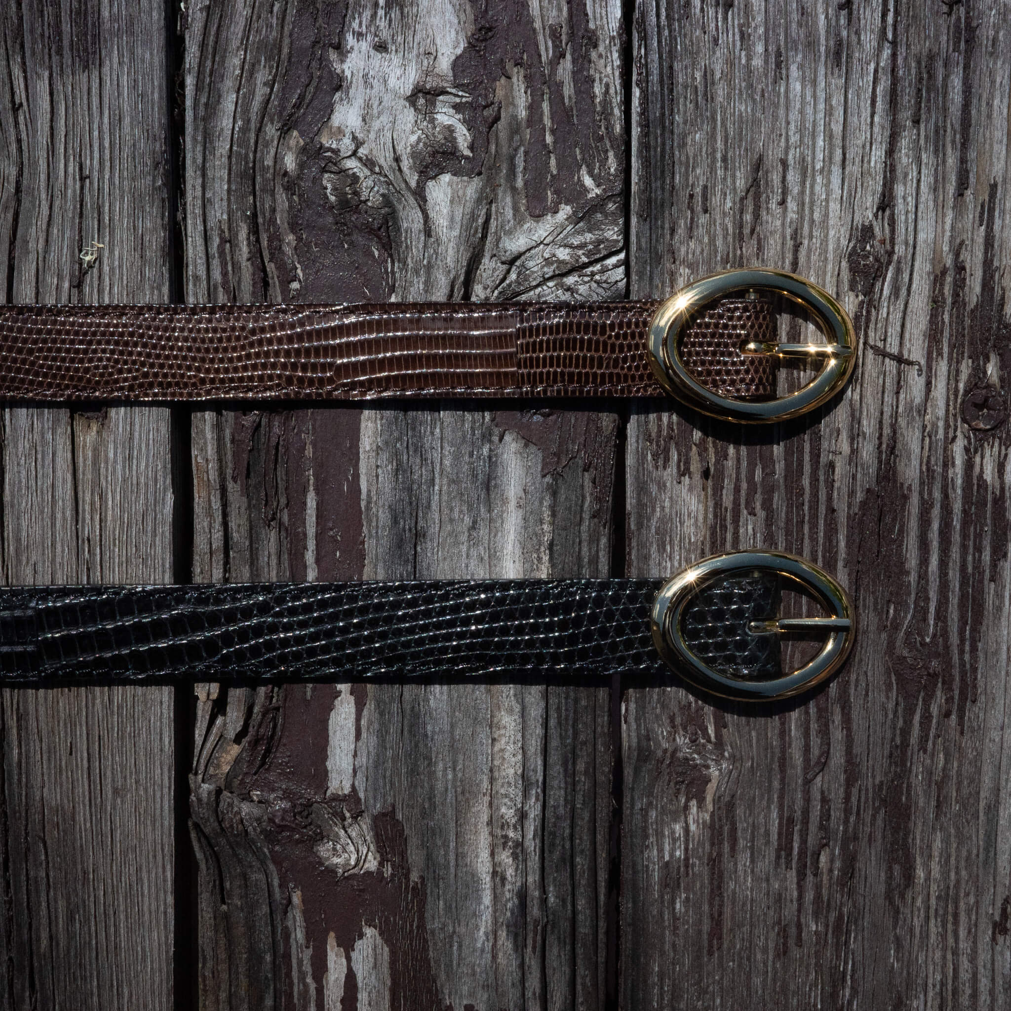 BISOWN(ビソウン)/LIZARD OVAL BELT/BK – peau de l'Ours