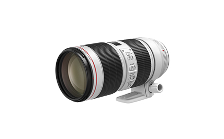 EF70-200mm F2.8L IS III USM：レンズ交換式カメラ・レンズ｜個人