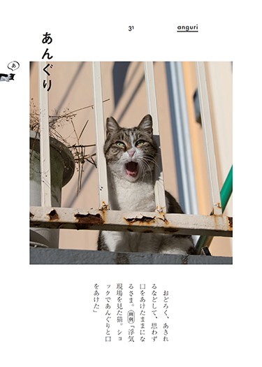 沖さんの猫写真とオノマトぺが一冊に 「一番のお気に入りの言葉は