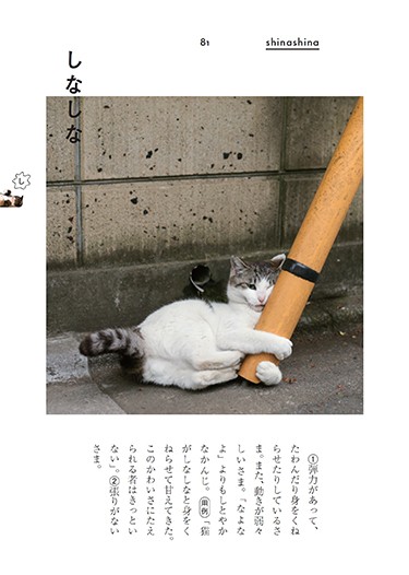 沖さんの猫写真とオノマトぺが一冊に 「一番のお気に入りの言葉は