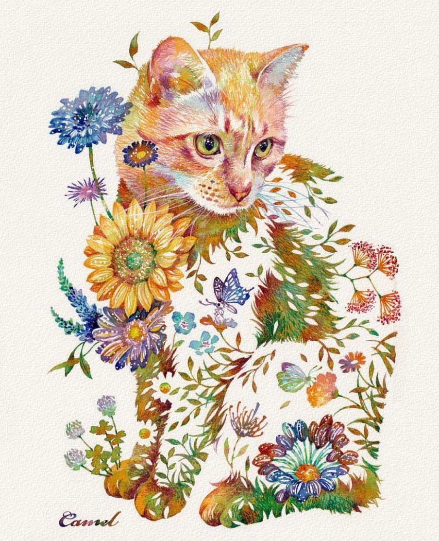 透明色彩」の猫の絵がとても素敵 「素晴らしいタッチと色彩」惹かれる