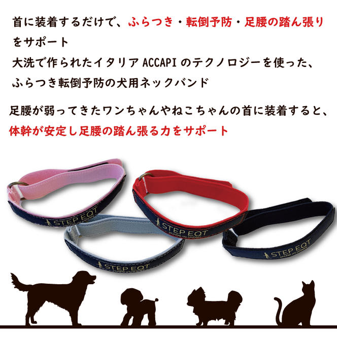 ペット用ネックバンド マジックテープ式 STEP EQT 転倒防止 レッド XS