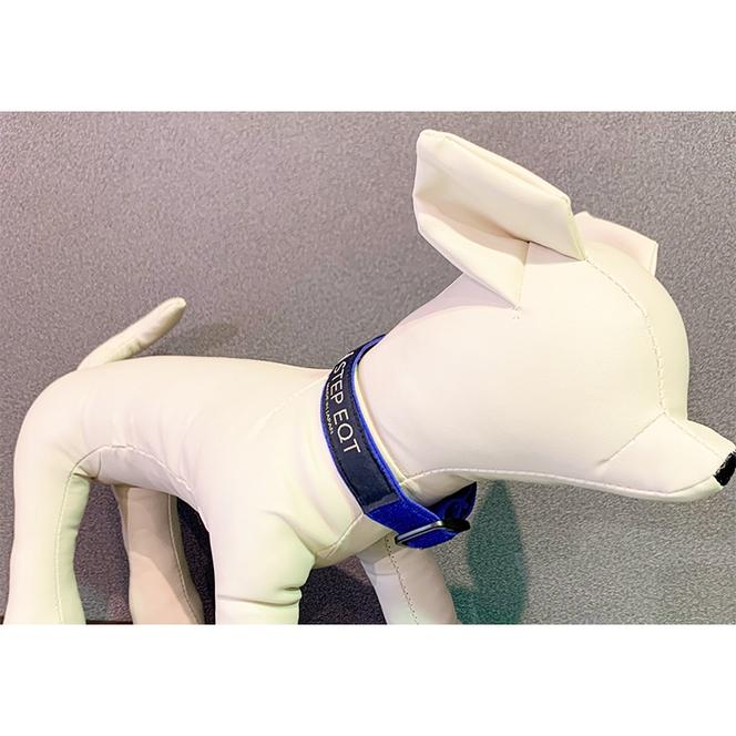 ペット用ネックバンド STEP EQT 転倒防止 ブルー Mサイズ 犬 猫 ペット