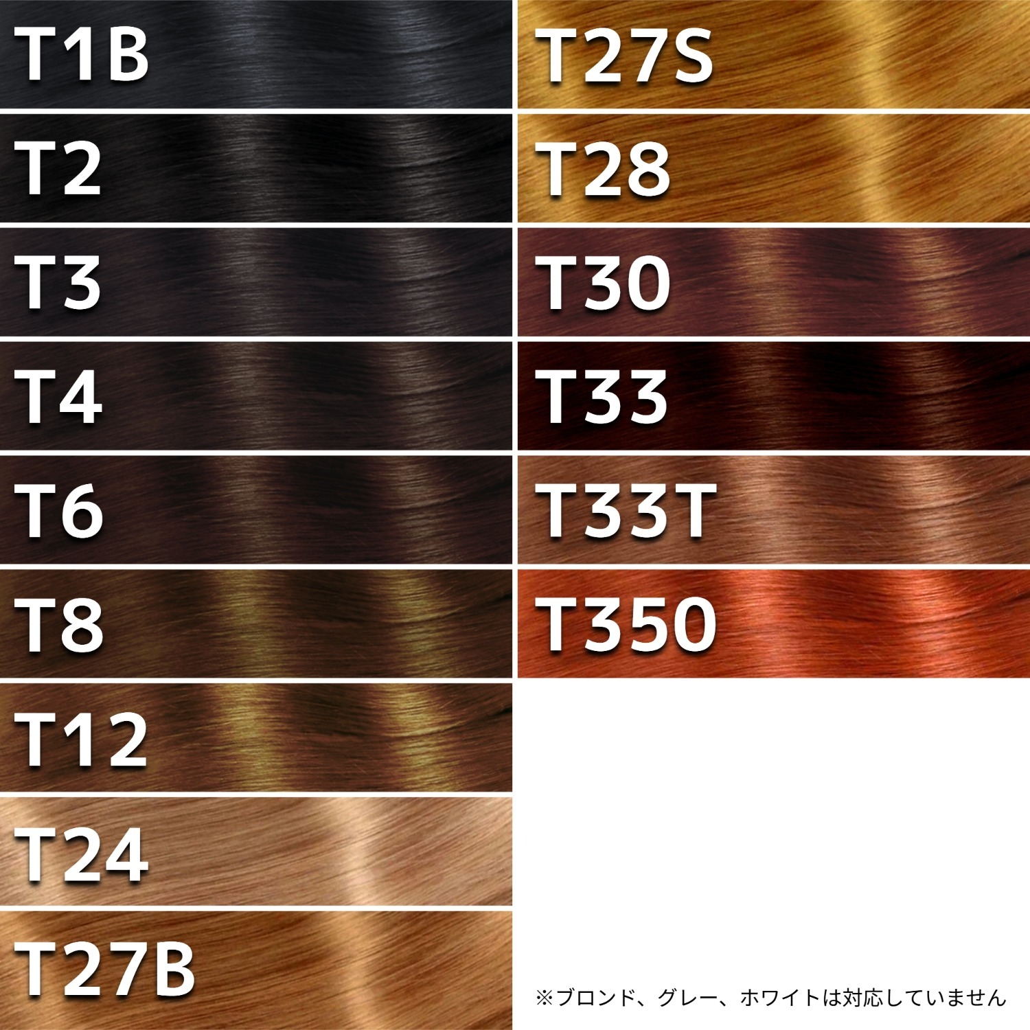 ミックス・メッシュ髪色追加加工【プラスカラー】カップ専用 ＜ 多美咲
