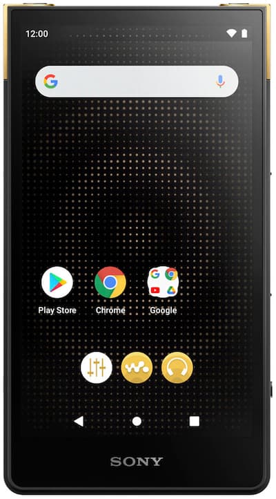Sony ZX707 Walkman ZX Series Black NWZX707/B - Best Buy