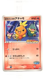 048/PCG-P ポケパークのミズゴロウ： ポケパーク アトラクション限定