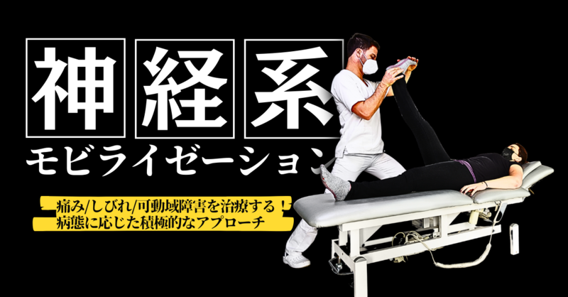 神経系モビライゼーション｜痛み/しびれ/可動域障害を治療する！病