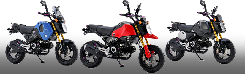 GROM2021 | H2C/エイチツーシー | 株式会社プロト(PLOT)