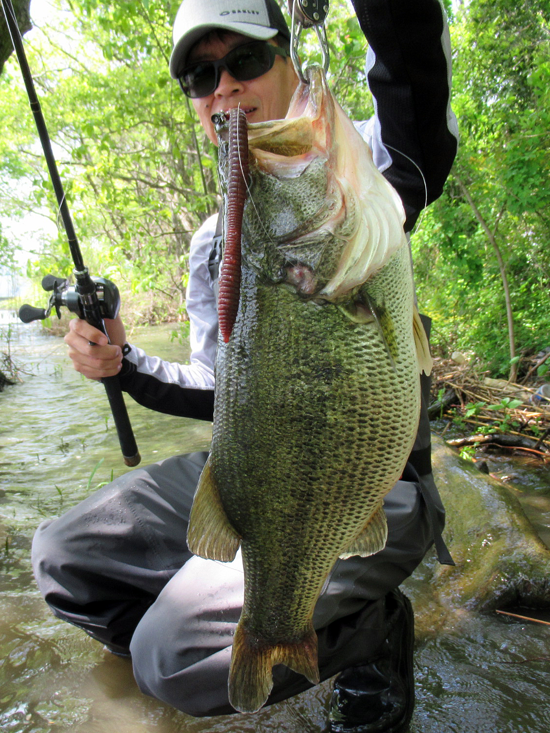 Style Of Deps | deps OFFICIAL HP | デプス 公式HP