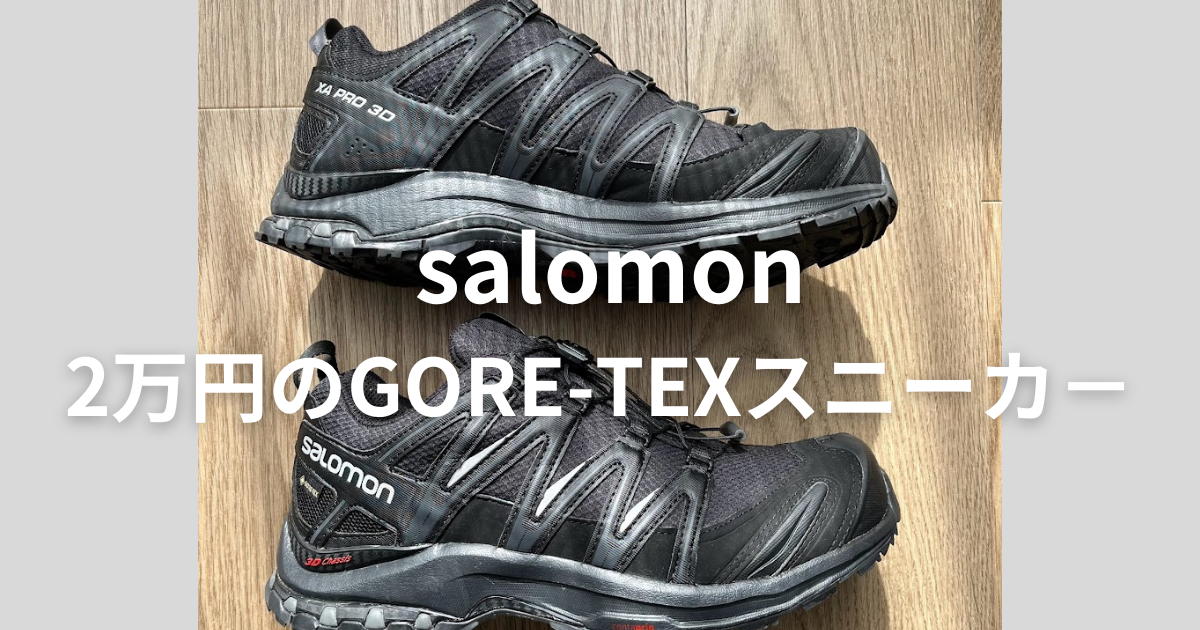 チープ・シックのすすめ | 【2万円で買えるgore-texスニーカー】<br