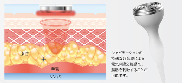 セルドライブプロ（CELLDRIVE PRO）：新時代のマルチソリューション