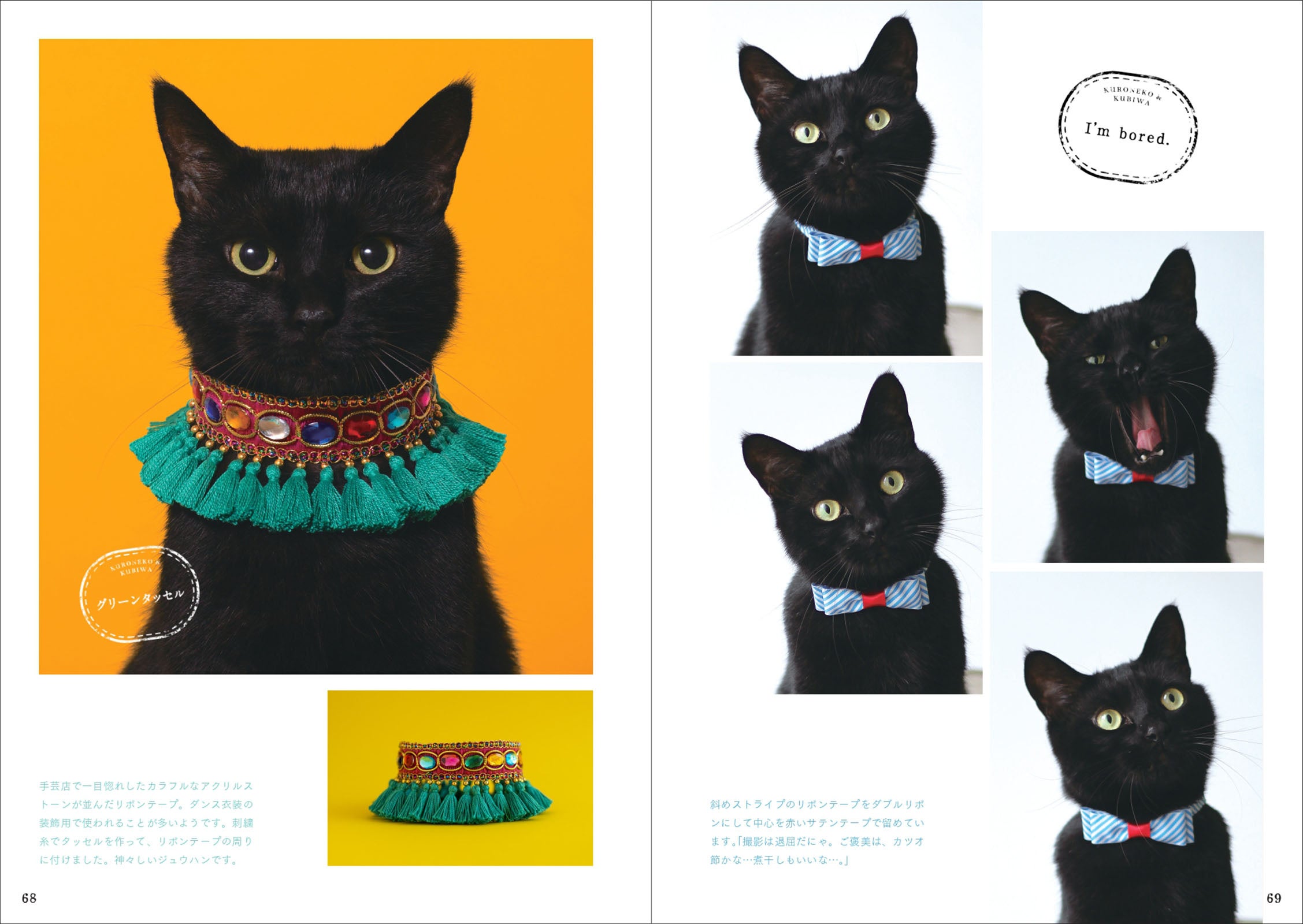 CACAOCATのパッケージやガチャで大人気の黒猫、「ジュウハン」くんと