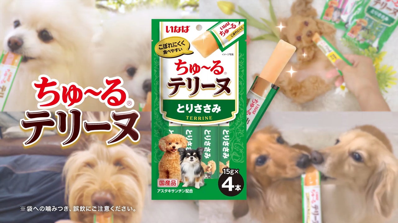 いなばペットフード 「ちゅ～るテリーヌ」新TVCMを本日よりオンエア