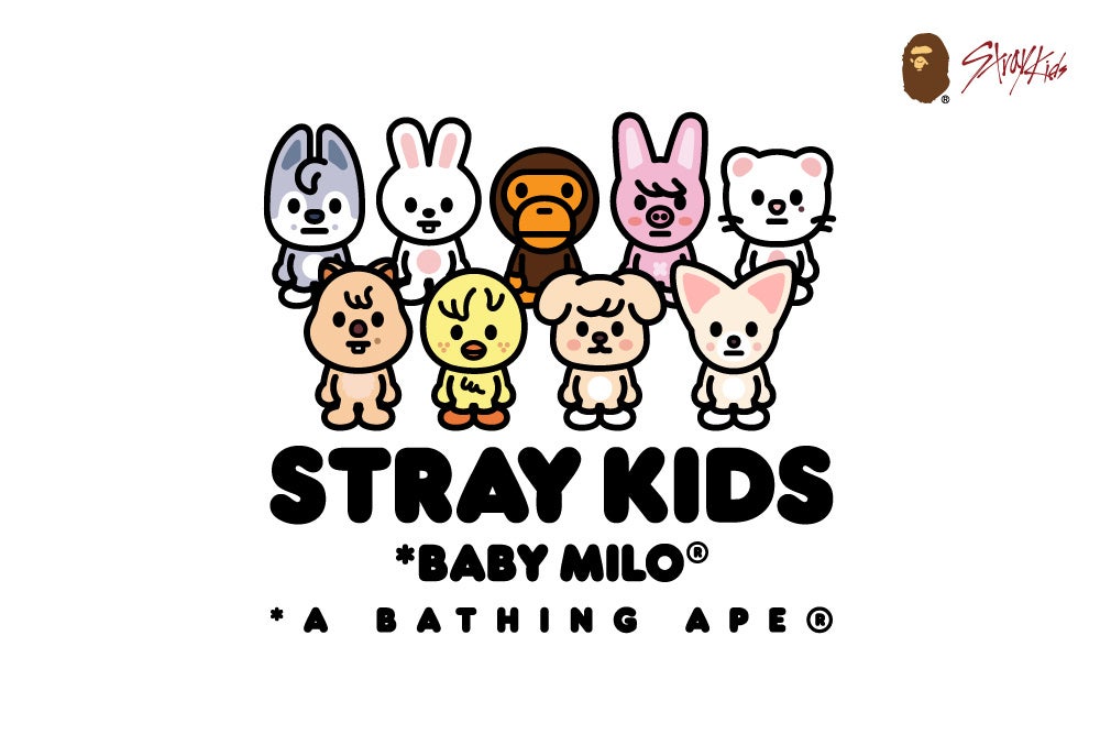 C*o様 ア ベイシングエイプ 20周年記念キャンバスアート SKATETHIN C*o