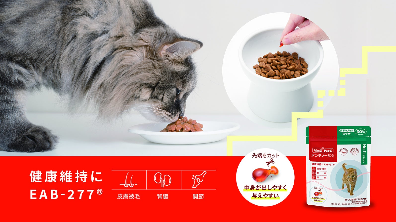 アンチノール プラス 猫用 90粒 1箱 【公式通販】