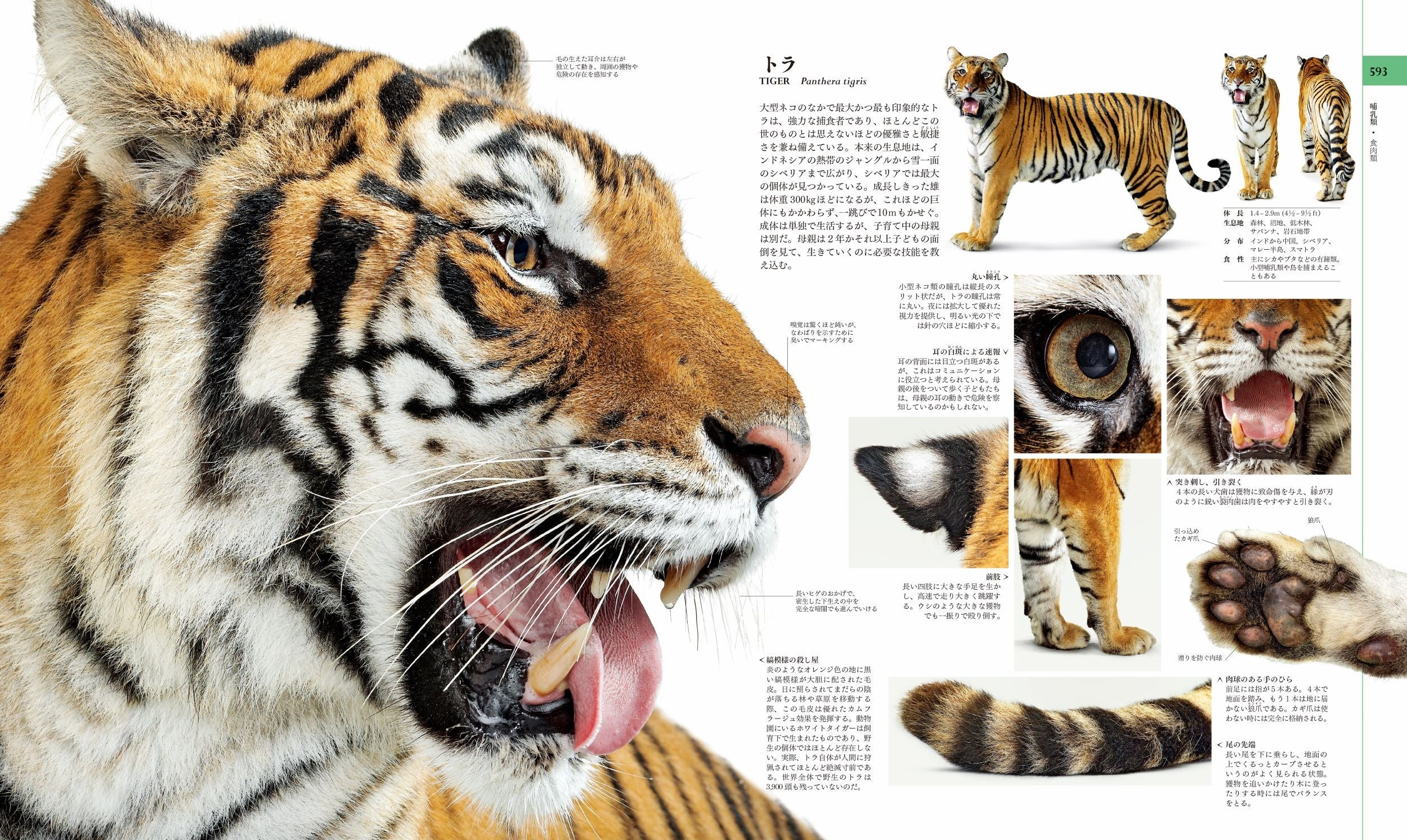 ページを開くと、ここは世界最大の博物館！ 全世界で75万部の