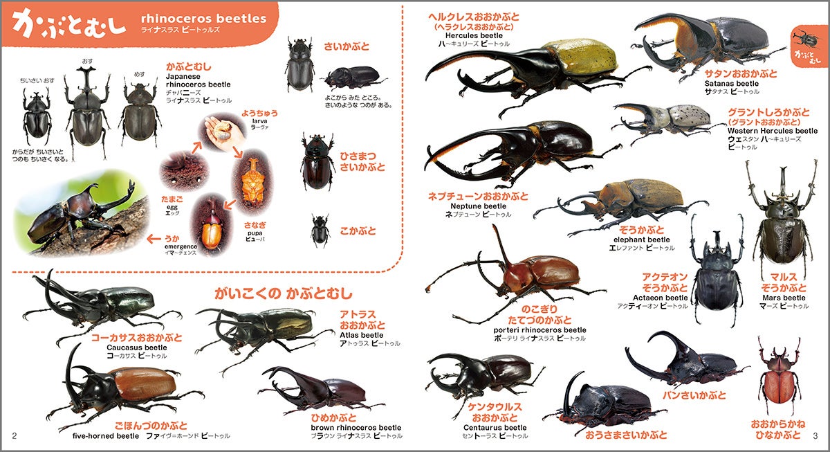 累計240万部「こどもずかん」シリーズから『こどもずかん むし777 英語