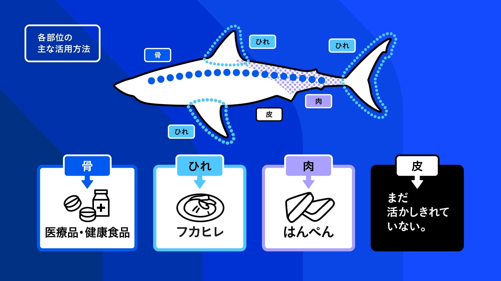 オーディオテクニカ✕気仙沼の「サメ漁」共創プロジェクトが実現