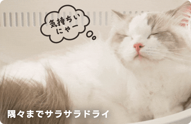 癒しの風で包む幸せドライ体験！PetSnowy「SMILEペットドライヤー