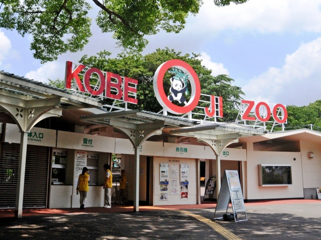 神戸市立王子動物園のジャイアントパンダ・タンタン23歳の誕生日会開催