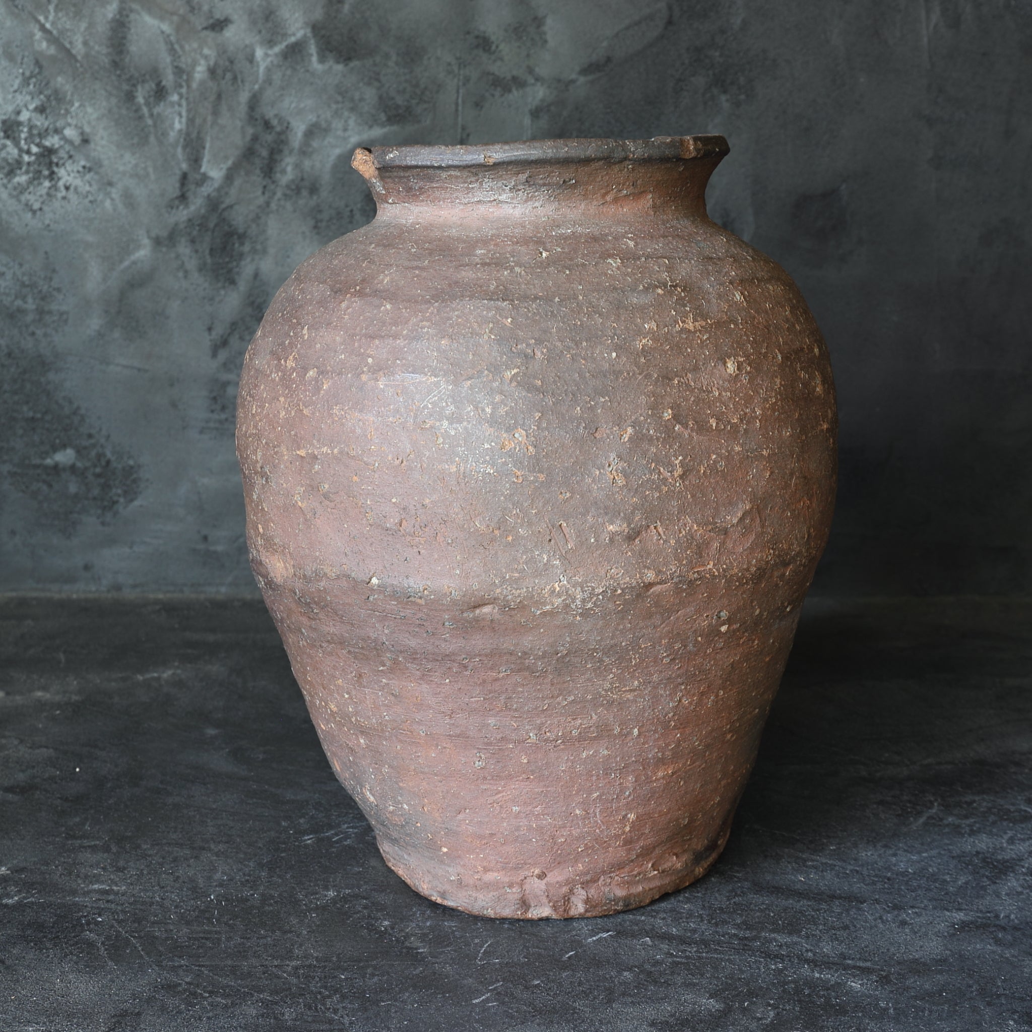 室町時代 古信楽 壺（1336–1573 CE） | 入蘆花（ロカニイル）