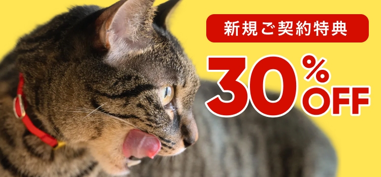 オフィシャルストア | Catlog