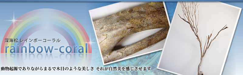 Rainbow-coral（レインボーコーラル）虹色珊瑚・深海松（ふかみる