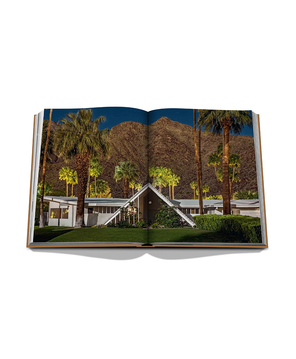 Illustrated book Palm Springs by Assouline - quick and easy to