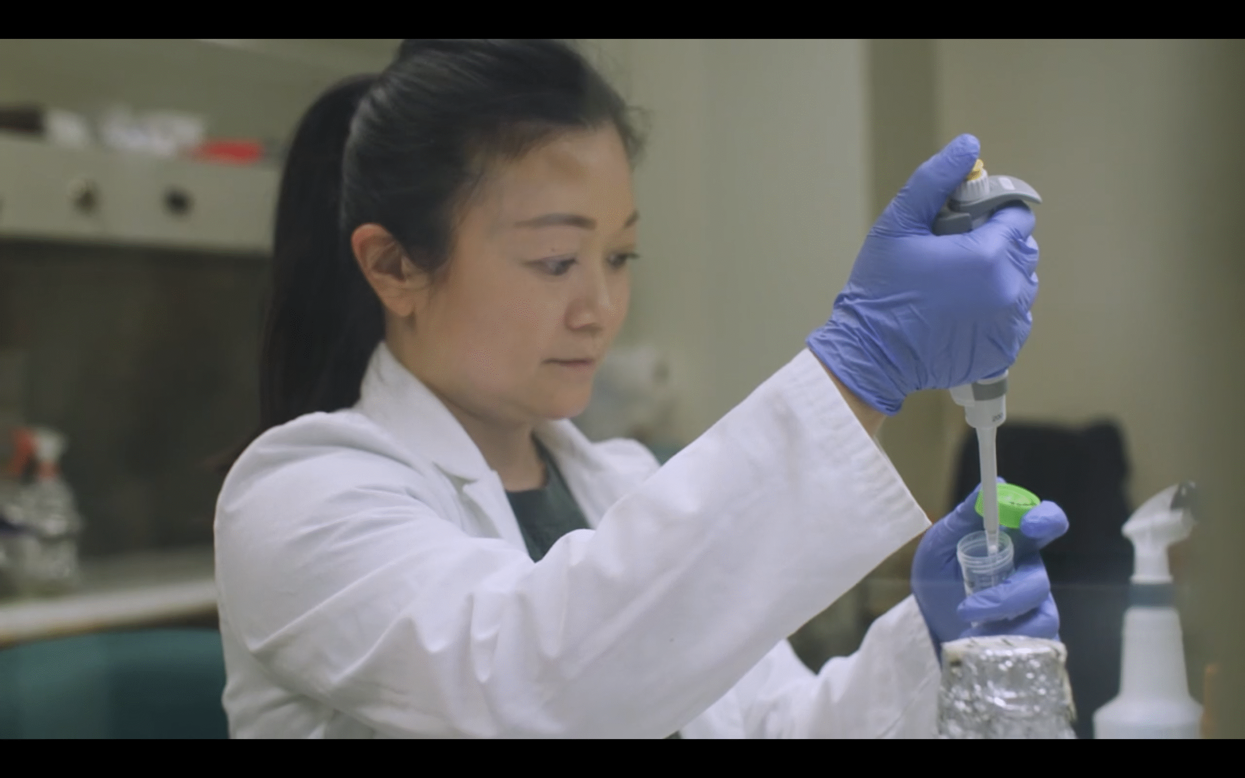 News and Media | Whitehill Lab - Christmas Tree Genetics Program