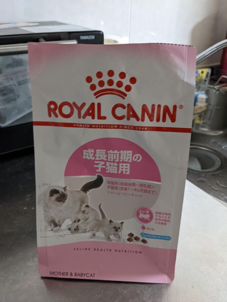 ロイヤルカナン（ROYAL CANIN） 子猫 キトン 成長後期の子猫用 生後