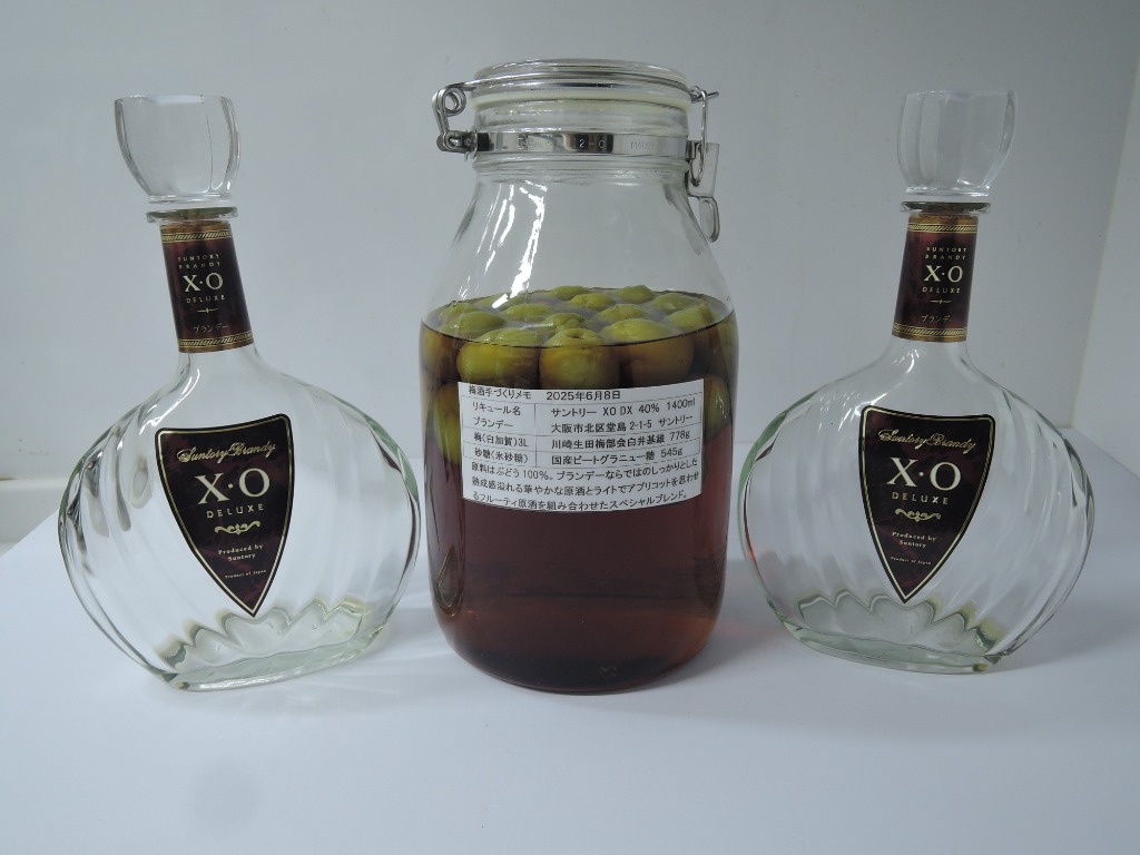 SUNTORY（サントリー） ブランデー サントリーブランデー XO