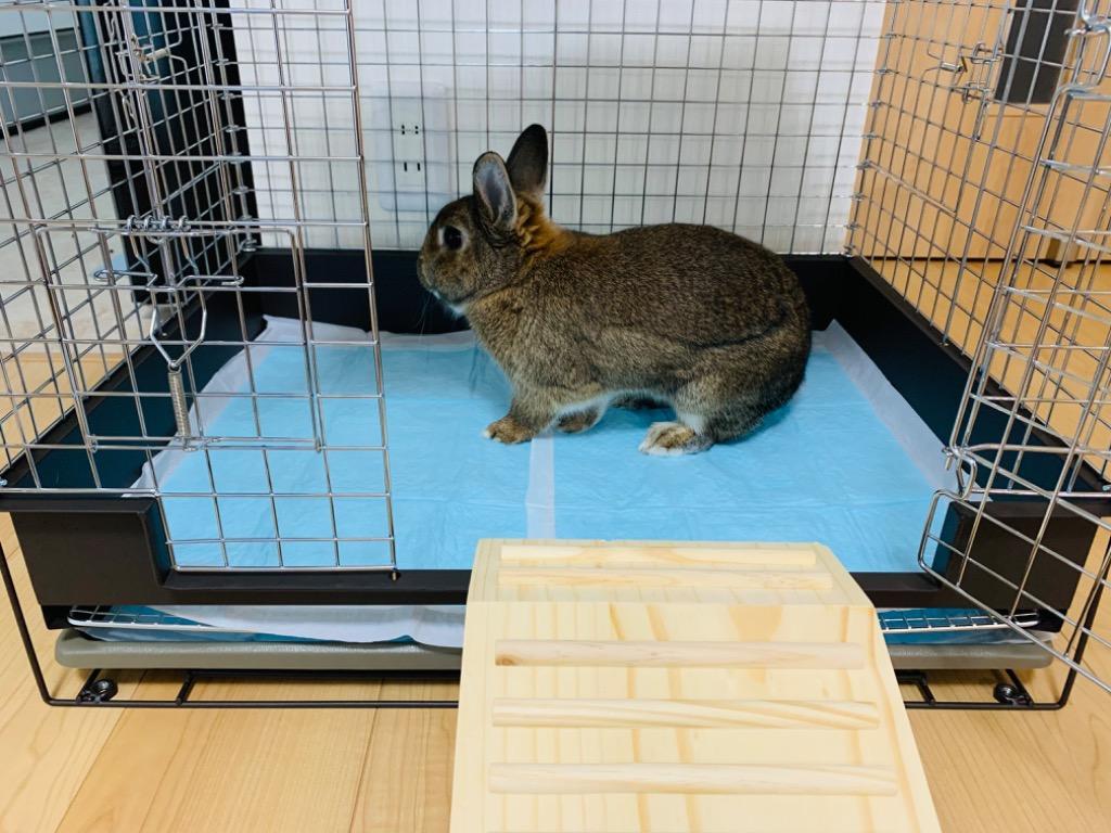 カワイ コンフォート60 STグレード うさぎ ケージ 川井 KAWAI : うさぎ