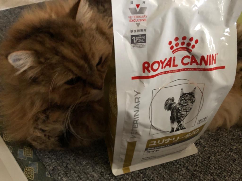 ロイヤルカナン（ROYAL CANIN） 食事療法食 猫用 ユリナリーS/O オル