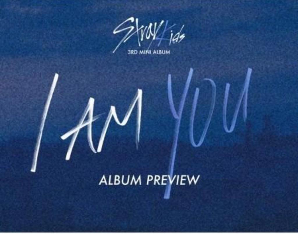 STRAY KIDS I AM YOU 3RD MINI ALBUM ストレイキッズ 3集 ミニ