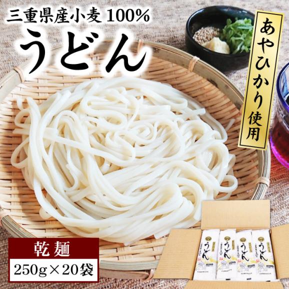 送料無料 うどん 乾麺 250g×20袋 セット 三重県産小麦100% あやひかり