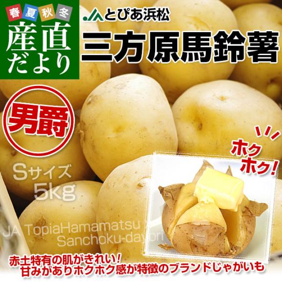 静岡県産 JAとぴあ浜松 三方原馬鈴薯（男爵） Sサイズ 5キロ