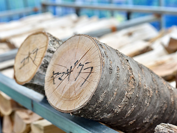 広葉樹ミックス薪の樹種について | Rotation